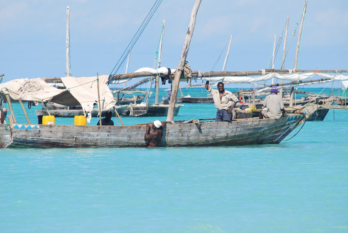 Optional tours around Zanzibar / Price and opinions / Where to buy?